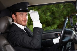 PROFESSIONAL CHAUFFEUR SERVICES