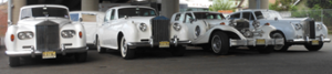 exotic wedding limos