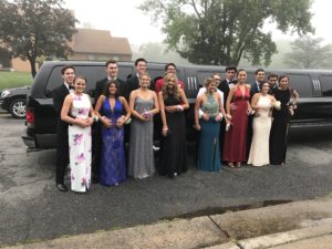 image gallery 12