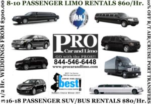 Long Beach Island airport limo service logo